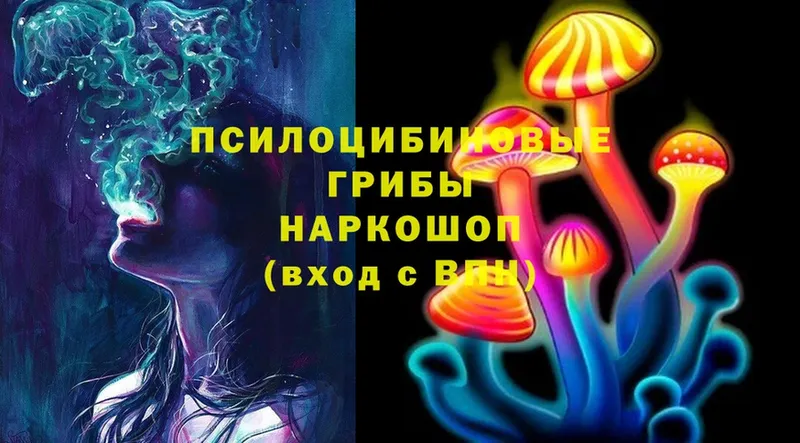 Псилоцибиновые грибы Cubensis  Протвино 